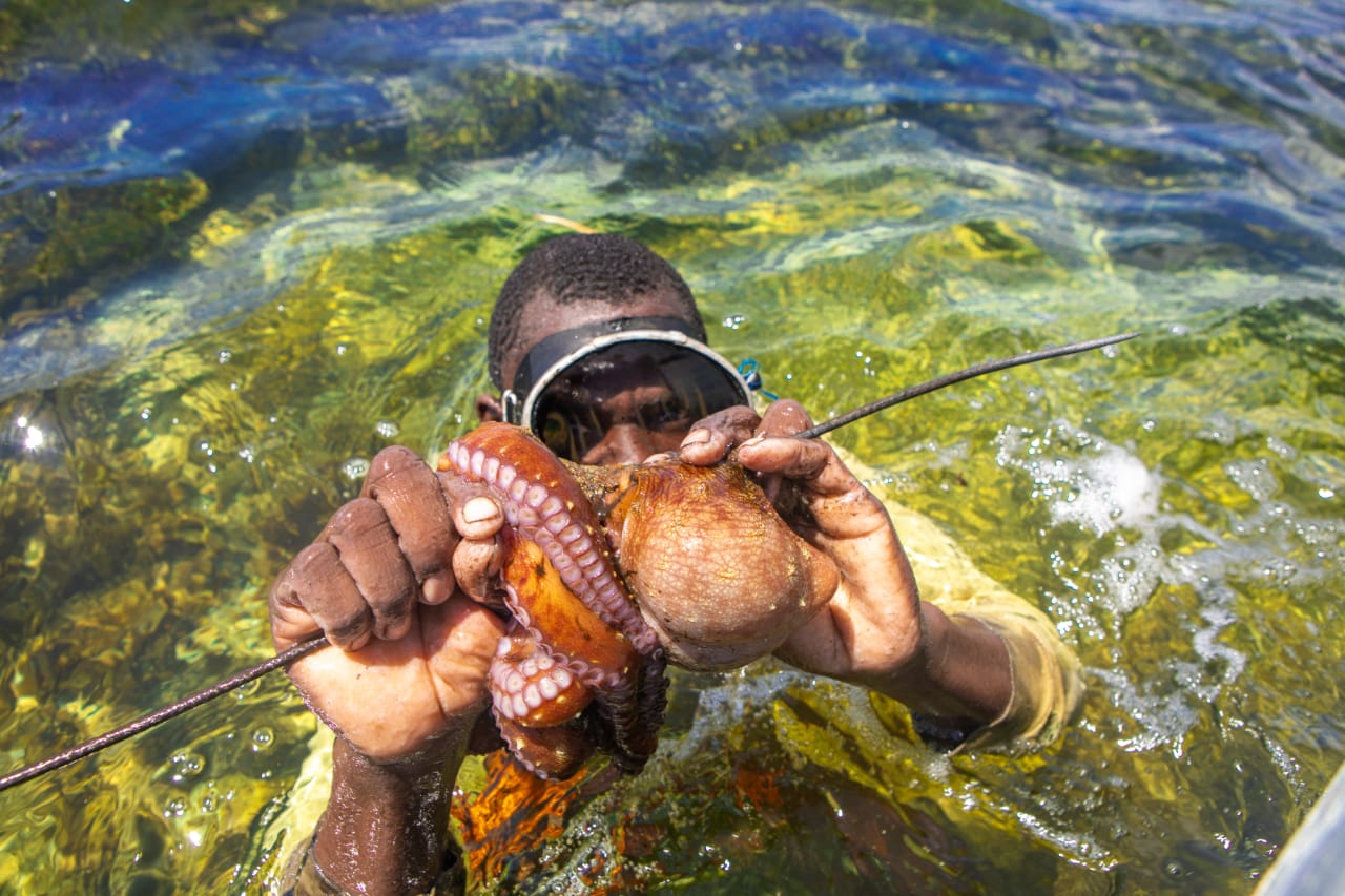 Octopus fishing in Cabo Delgado2_WWF-Mozambique